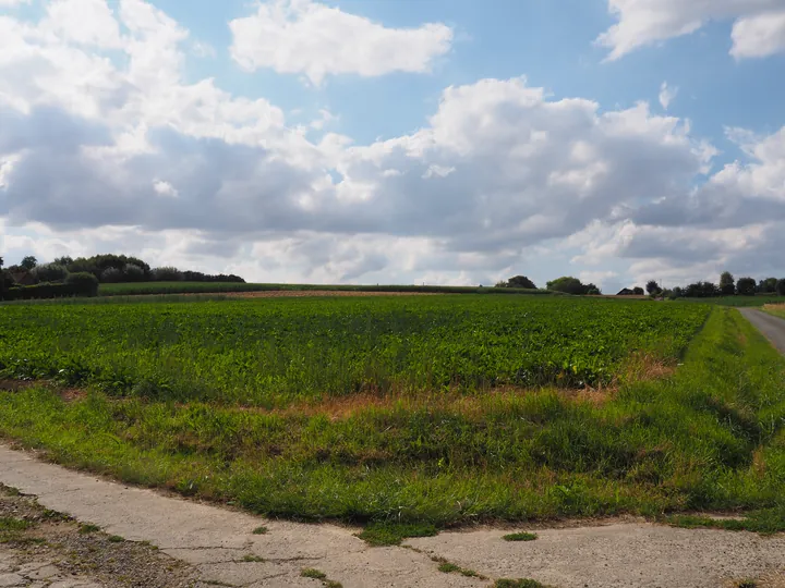 Kwaremont (Belgium)